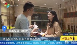 张婉婷业内人士爆料视频,独家爆料视频深度解析